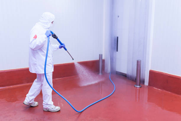 Best Vinyl Siding Pressure Washing in Grandview, IL